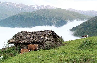 تور ۲ روزه گیلماز تا جواهردشت